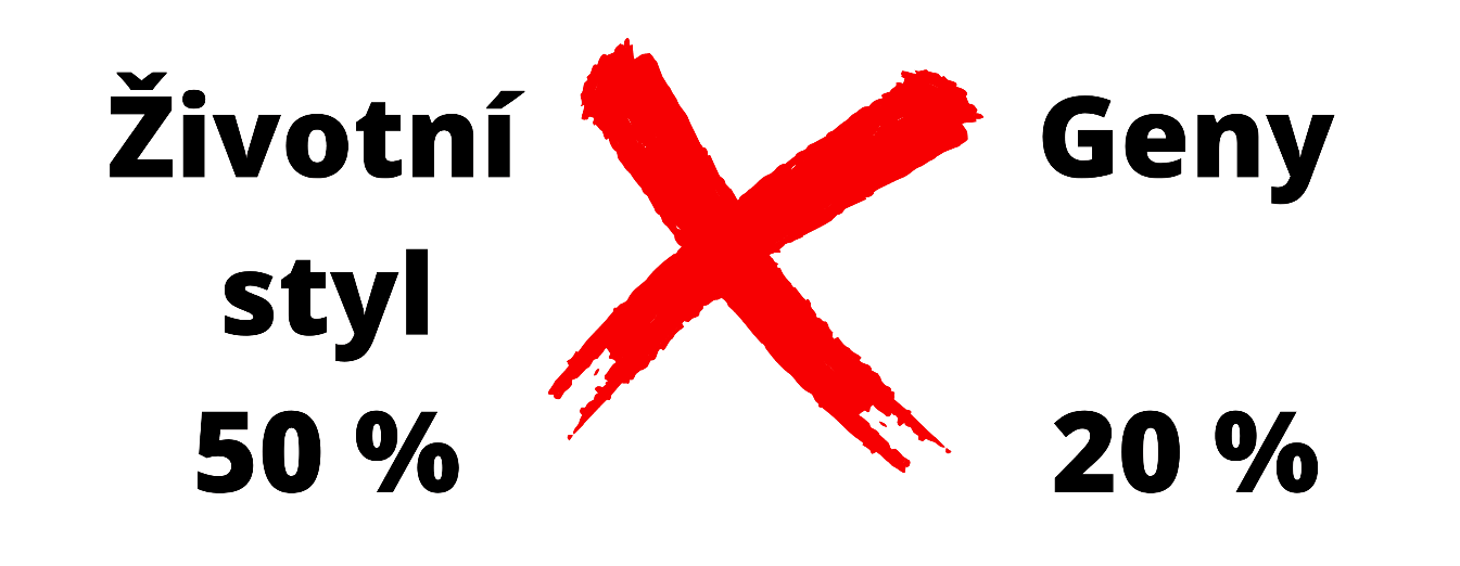 Co má obsahovat jídelníček na hubnutí?